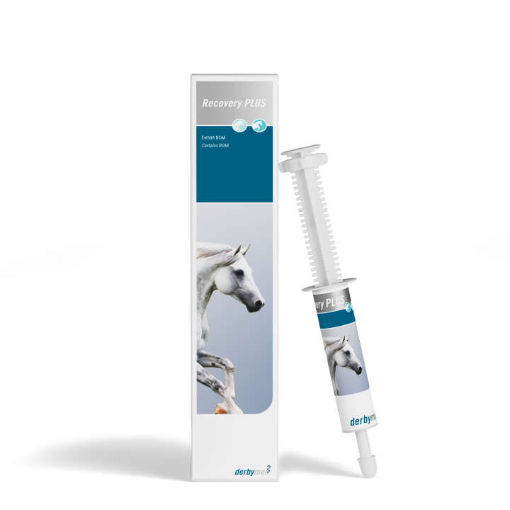 derbymed Recovery PLUS derbymed Recovery PLUS